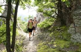 Hiking along the &quot;Welterbesteig&quot; (World Heritage Trail), © Niederösterreich-Werbung _ Robert Herbst