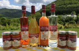 Marillensortiment beim Kausl, &copy; Marillenhof Kausl