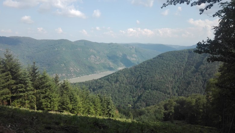 Ausblick vom Jauerling, © Romana Wiener