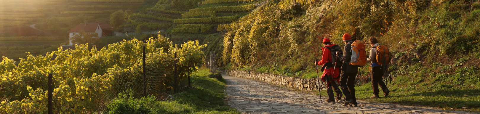 wandern im Naturpark in der Wachau, © Pixabay