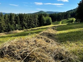 Along stage 5, &copy; Wachau Inside