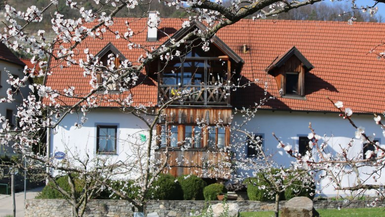 Ferienwohnungen Seitner, Aussenansicht, © Familie Seitner