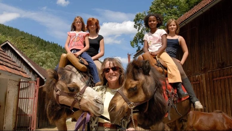 Camel riding, © 1. Österreichische Kamelreitschule