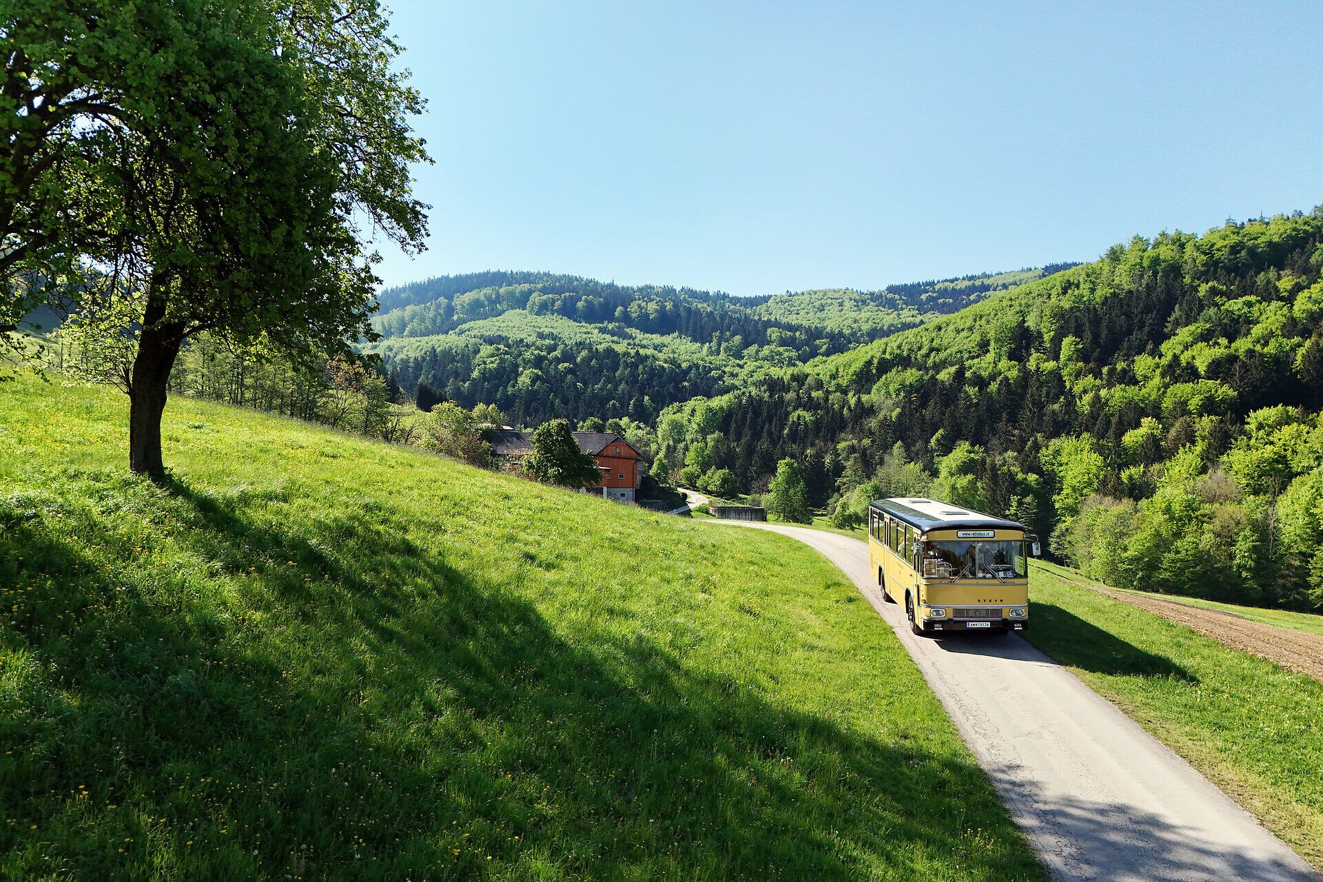Die sanften Hügel des Mostviertels erblühen in voller Pracht, während ein nostalgischer Bus gemächlich die kurvenreiche Straße entlangfährt. Die frische Luft und die blühenden Birnbäume laden dazu ein, die Schönheit der Natur zu genießen und die Seele baumeln zu lassen.