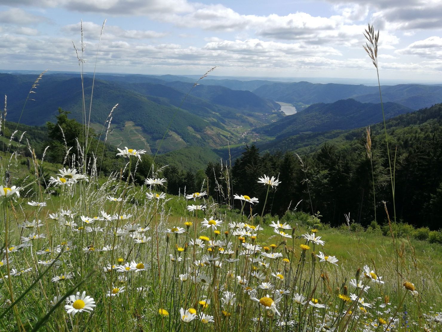 Ausblick Frühling