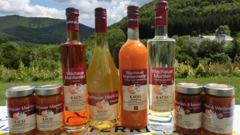 Marillensortiment beim Kausl, &copy; Marillenhof Kausl