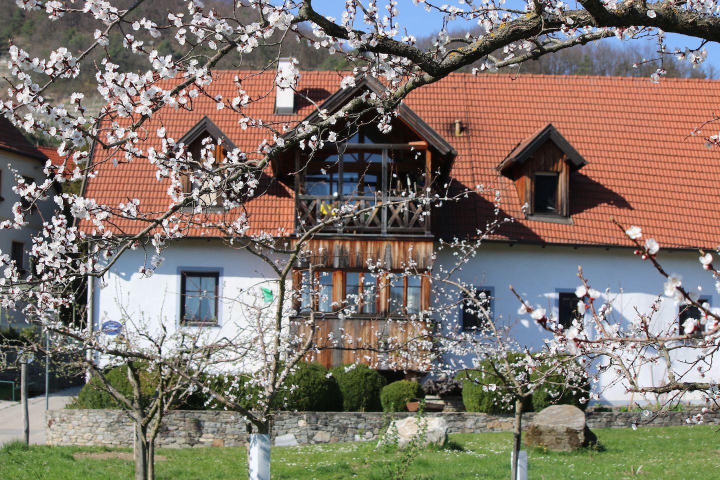 Ferienwohnungen Seitner, Aussenansicht
