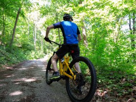 Mountainbiker auf der Tour unterwegs, &copy; Donau N&Ouml; Tourismus/Barbara Elser