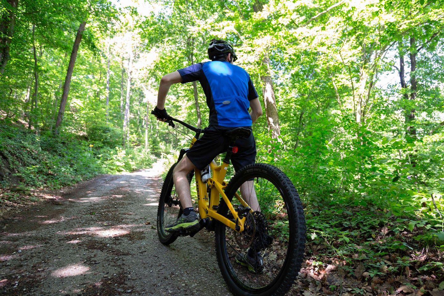 Mountainbiker auf der Tour unterwegs