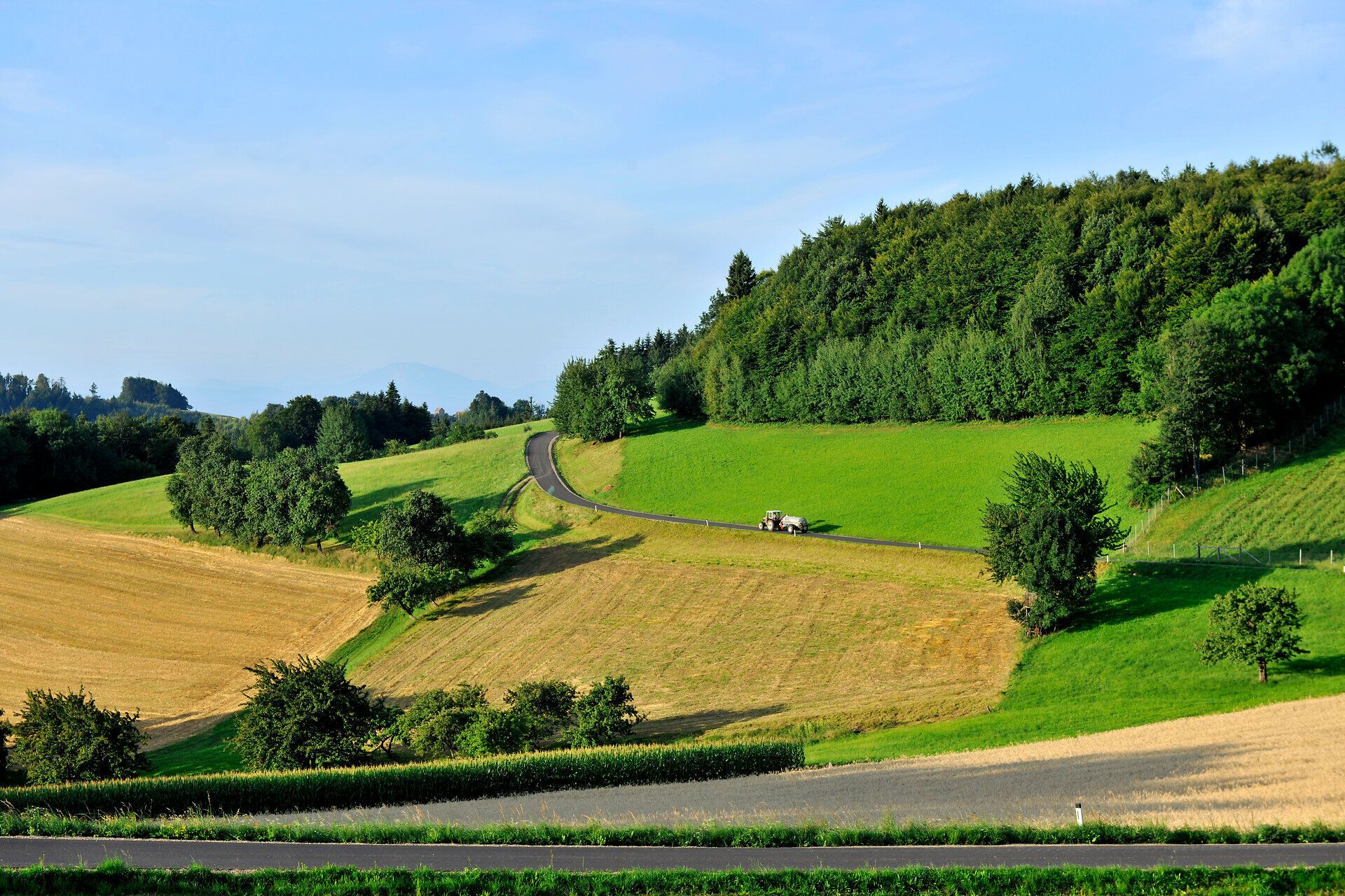 Sanfte Hügel und üppige Wiesen laden zu einem erholsamen Sommerausflug ein. Die klare Luft und das sanfte Licht schaffen eine harmonische Atmosphäre, die zum Verweilen einlädt. Entdecken Sie die Schönheit der Natur und genießen Sie die malerischen Ausblicke.