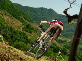 Weinstein tour, &copy; &copy; Archiv ARGE MTB N&Ouml;