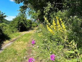 Along stage 5, &copy; Wachau Inside
