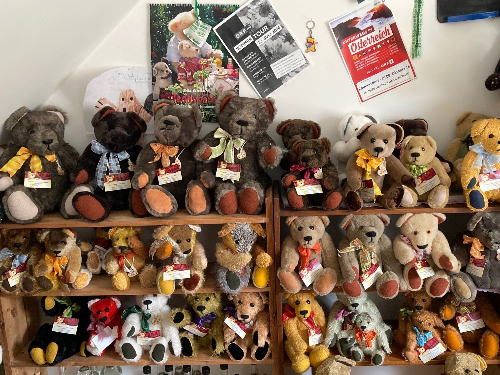 Regal mit vielen Teddybären in verschiedenen Farben und Größen.