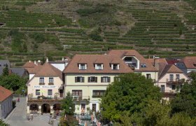 Außenansicht eines Gasthauses mit Terrasse und Weinbergen im Hintergrund.