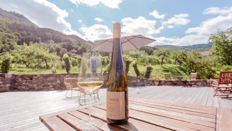 Ausblick von der Terrasse, © Weingut Rixinger
