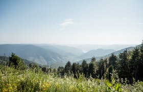Herrlicher Blick von der Wachauterasse, © Martina Siebenhandl