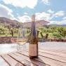 Ausblick von der Terrasse, © Weingut Rixinger