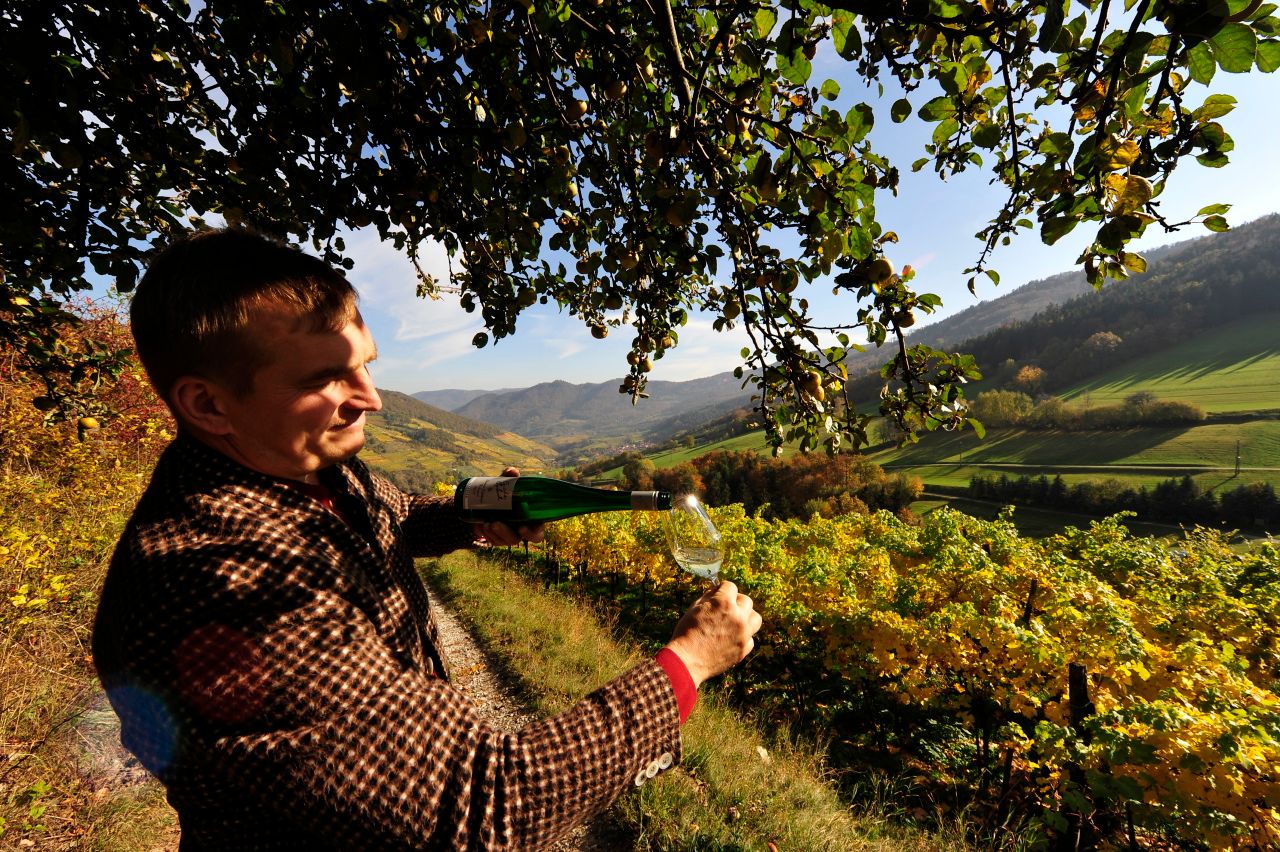 wein-wachau-herbst-nutzungsrechte-vorhanden-c-weingut-graben-gritsch-petr-blaha-60