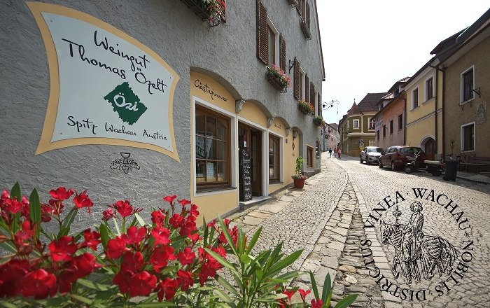 Straße in Spitz, Österreich mit Weingut und Blumen.