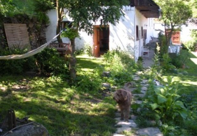 A garden with a dog on a stone path in front of a white house.