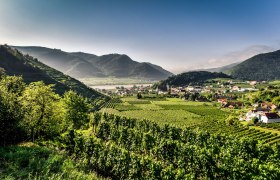 Weinbauort Spitz, &copy; Robert Herbst