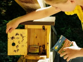 Stamp box along the way, &copy; Martina Siebenhandl