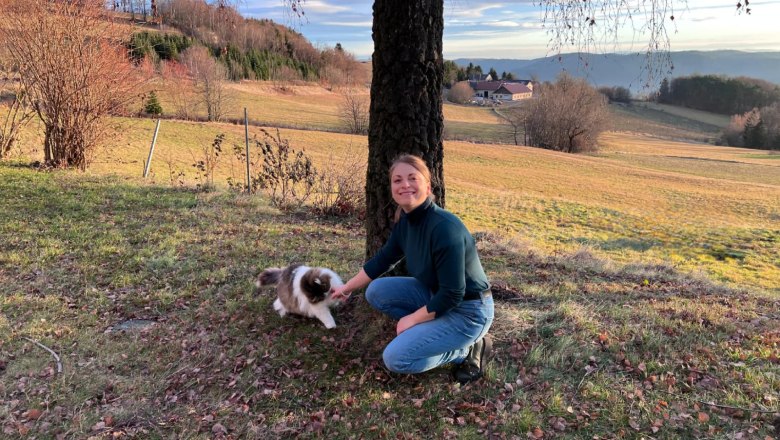 Urlaub am Jauerling &ndash; Katze, &copy; Wiener