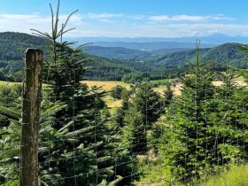 Jauerling-Round 05: Weiten-Raxendorf, &copy; Wachau Inside