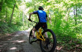 Mountain bikers on the tour, &copy; Donau N&Ouml; Tourismus/Barbara Elser