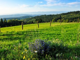 Hochplateau Jauerling, &copy; Wachau-Nibelungengau-Kremstal