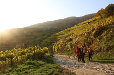 wandern im Naturpark in der Wachau, © Donau Niederösterreich Werbung