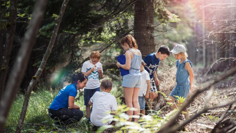 Kinder im Wald, © Branding Brothers