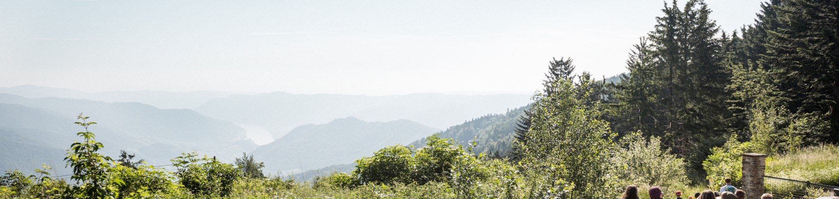 Naturpädagogik Sommer, © Martina Siebenhandl