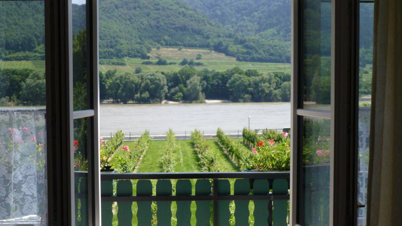 Ausblick vom Balkon auf die Donau und die Weingärten