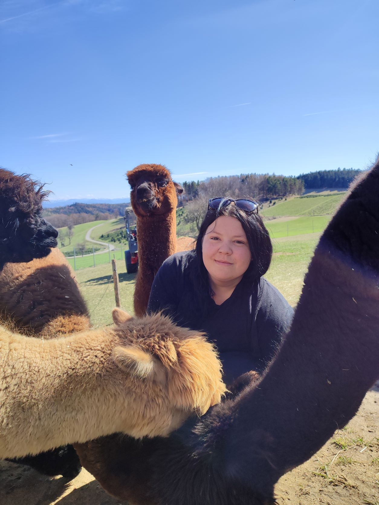 Tini mit ihren Alpakas
