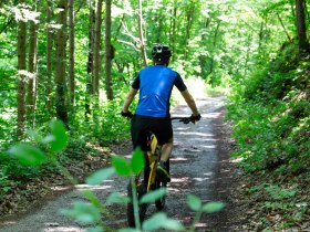 Mountainbiker genie&szlig;t Ruhe und Stille im Wald, &copy; Donau N&Ouml; Tourismus/Barbara Elser