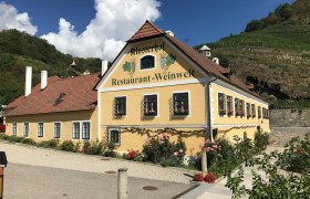 Außenansicht eines gelben Gebäudes mit der Aufschrift 'Klosterhof Restaurant-Weinwelt', umgeben von Blumen und Weinbergen.