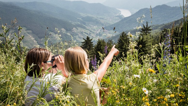 Schulausflug mit Aussicht, © Martina Siebenhandl