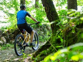 Mountainbiker auf Waldpfaden, &copy; Donau N&Ouml; Tourismus/Barbara Elser