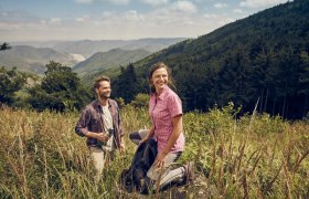 Hiking along the Jauerling Circuit, © Donau Niederösterreich, Andreas Hofer