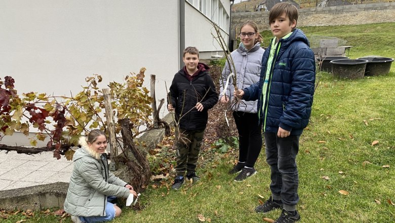 Jana, Tobias, Marlene und Adrian aus der Naturparkmittelschule Spitz pflanzten eine Klimahecke., © MS Spitz