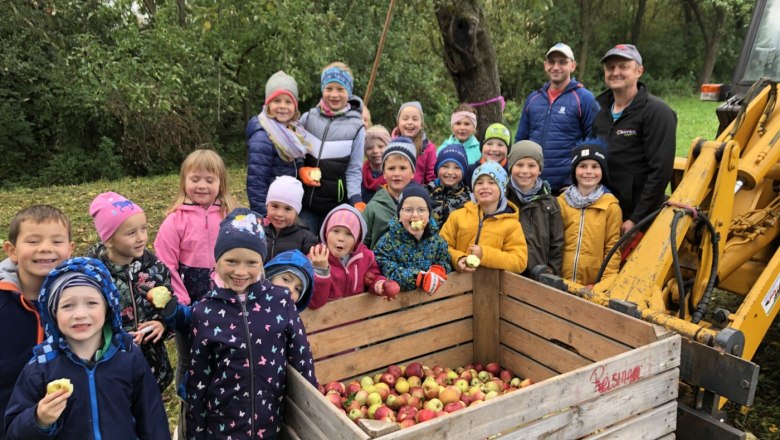 Volksschule Raxendorf beim Äpfelsammeln., © VS-Raxendorf