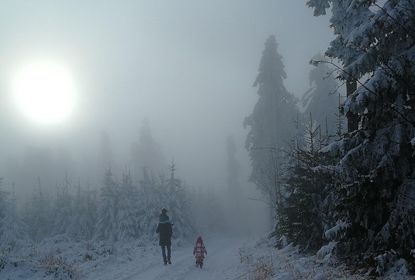 Wandern_Schnee, © Naturpark Jauerling-Wachau