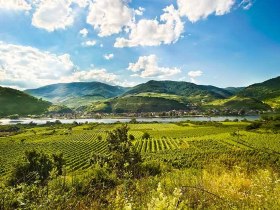 Spitz/Danube with Tausendeimerberg, &copy; Weinstra&szlig;e Wachau/Rita Newman