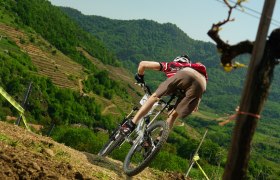 Weinsteintour, &copy; &copy; Archiv ARGE MTB N&Ouml;