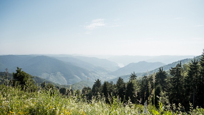 Magnificent view from the Wachau Terrace, © Martina Siebenhandl