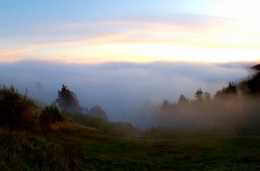 Jauerling im Nebel, © Claudia Nowak