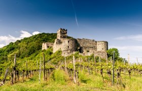 Ruine Hinterhaus-Frühling-uneingeschränktes Nutzungsrecht-© Robert Herbst (2), © Robert Herbst