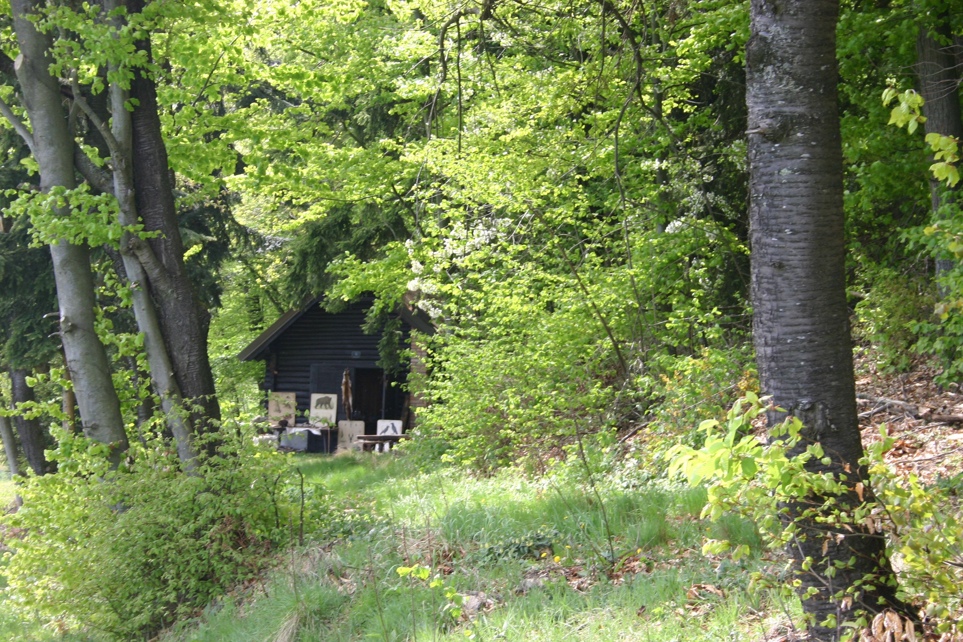 waldschule-hauschen_klein_c_marcus-zuba