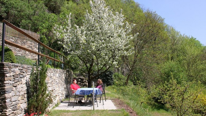 Zwei Personen sitzen an einem Tisch im Garten unter einem blühenden Baum.